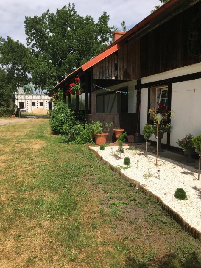 Villa Agroturystyka Pod Debami W Klukach Smołdzino Exterior foto