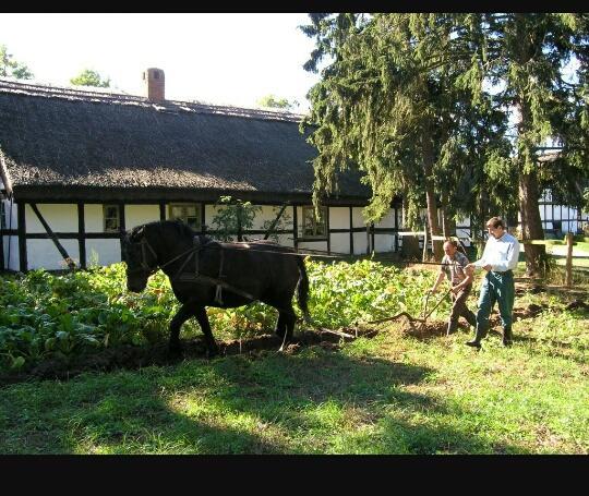 Villa Agroturystyka Pod Debami W Klukach Smołdzino Exterior foto