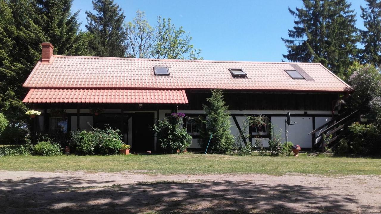 Villa Agroturystyka Pod Debami W Klukach Smołdzino Exterior foto